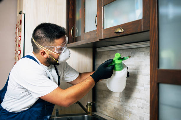 Best Pest Control Treatment  in Poseyville, IN