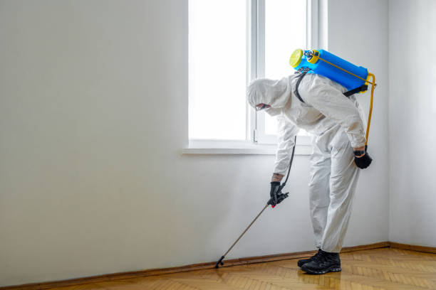Best Insect Control  in Poseyville, IN