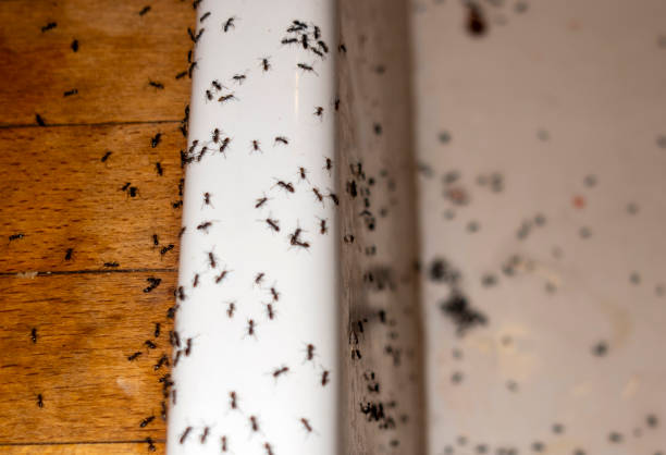 Best Wildlife Control Services  in Poseyville, IN