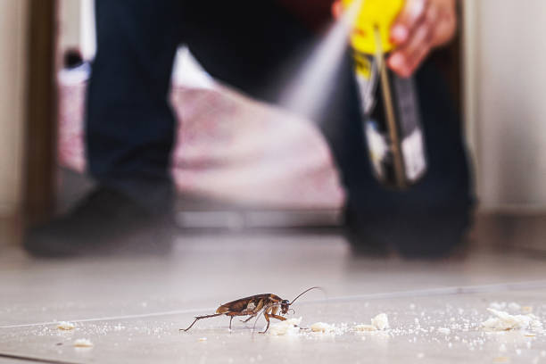 Best Best Pest Control Companies  in Poseyville, IN