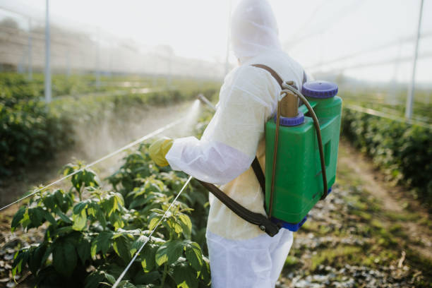 Best Ant Control Services  in Poseyville, IN